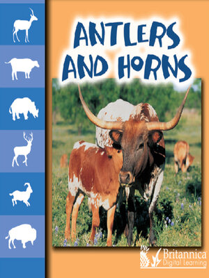 cover image of Antlers and Horns